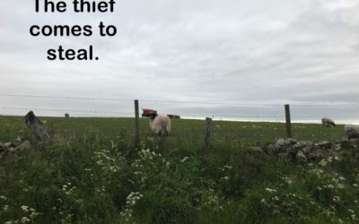 The Thief comes to … | Lisa Lyall